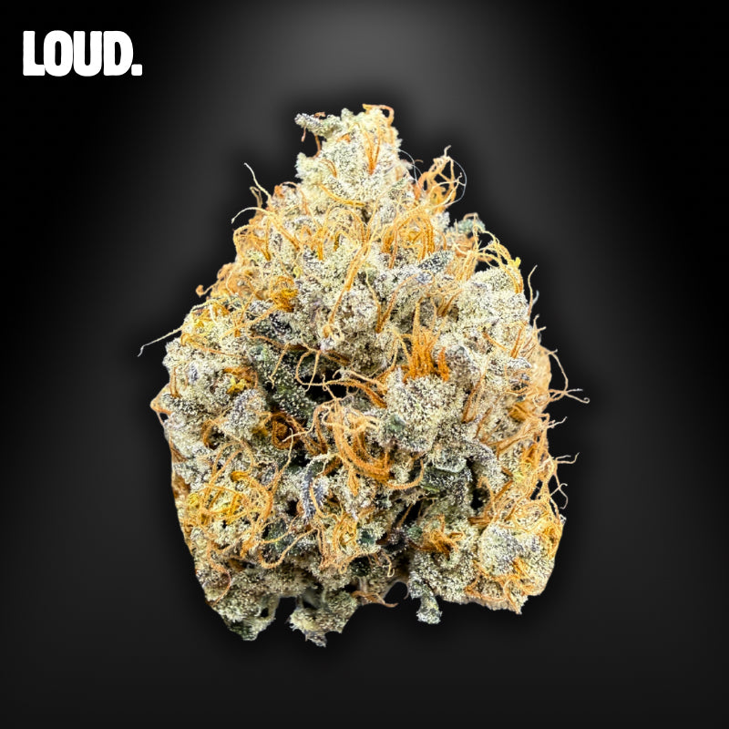 SBBK - SOUR BLUEBERRY KUSH