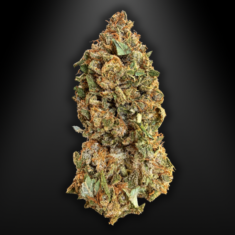 OUTDOOR - KUSH OZ