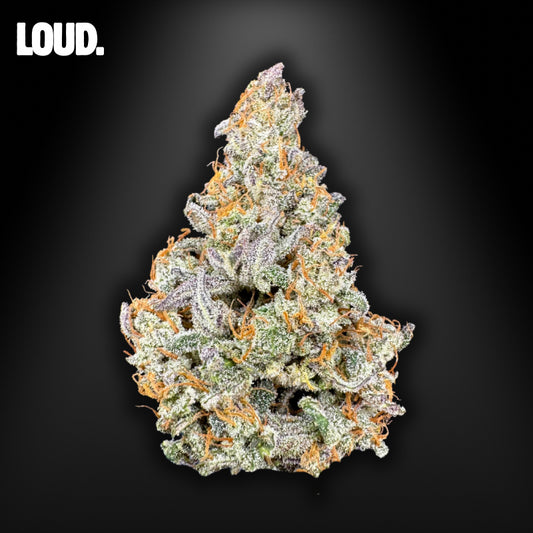 HUNTERS PACK - RAINBOW SHERBET COLLECTION