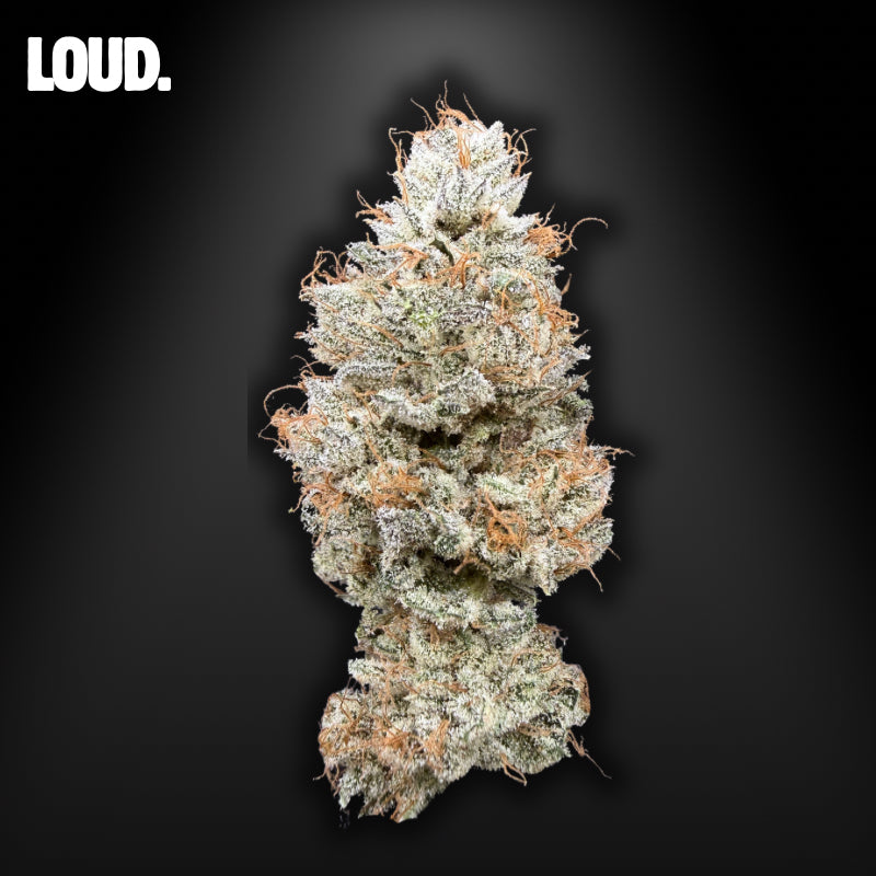 OZK - Original Zombie Kush