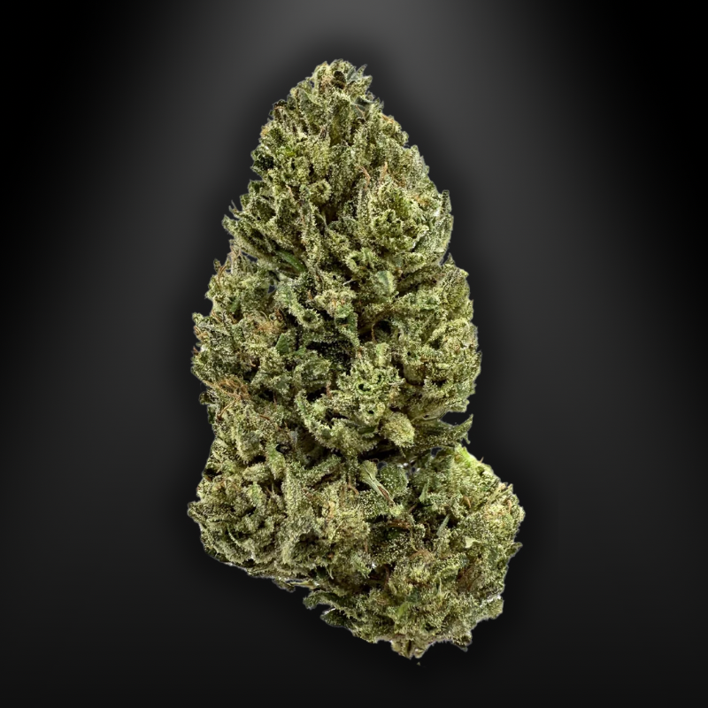OUTDOOR - OZK - Original Zombie Kush