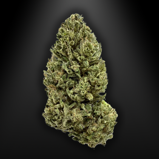 OUTDOOR - OZK - Original Zombie Kush