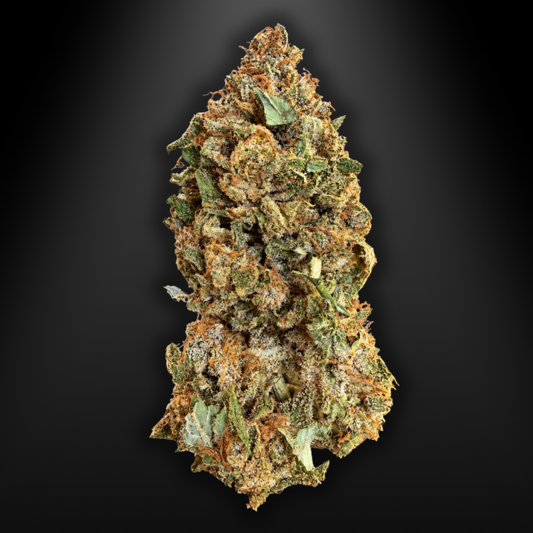 OUTDOOR - KUSH OZ
