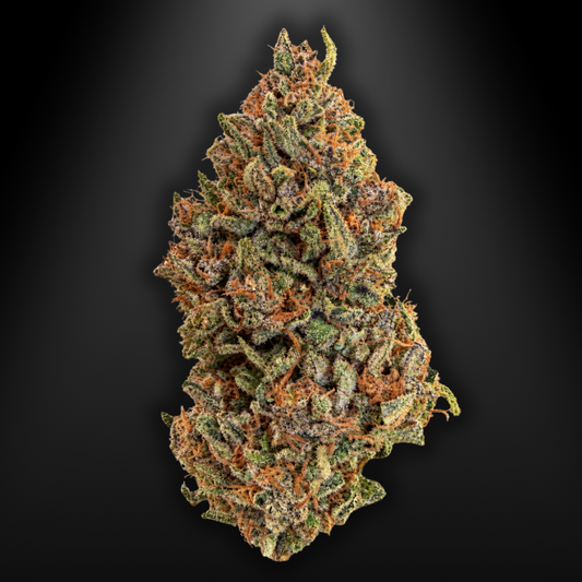 OUTDOOR - RAINBOW SHERBET #13